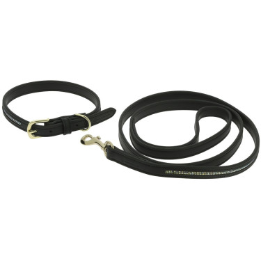 Coleira e trela para cão Equithème Max Coleira e trela para cão Equithème Max
