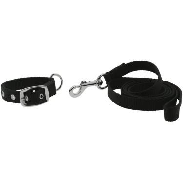 Coleira e trela para cão Riding World Oscar Coleira e trela para cão Riding World Oscar