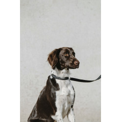 Coleira para cão Equithème Nala