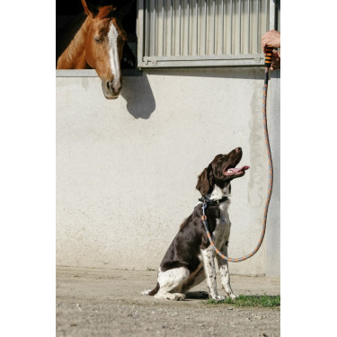 Trela para cão com pega Equithème Haspen Trela para cão com pega Equithème Haspen