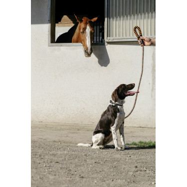 Trela para cão com pega Equithème Haspen Trela para cão com pega Equithème Haspen