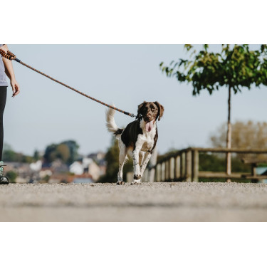 Trela para cão com pega Equithème Haspen Trela para cão com pega Equithème Haspen