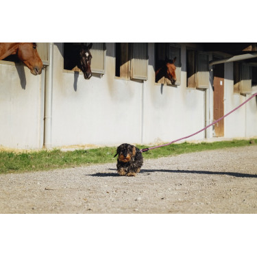 Trela para cão com pega Riding World Lucky Trela para cão com pega Riding World Lucky