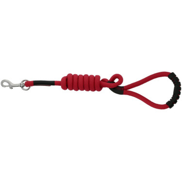 Trela para cão com pega Riding World Lucky Trela para cão com pega Riding World Lucky