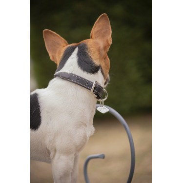 Coleira para cão Pénélope Olie Coleira para cão Pénélope Olie