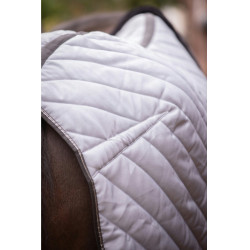 Cobertura de estábulo Diagonal Paddock Sports Cinzento