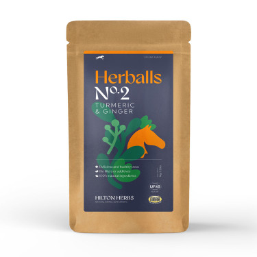 Herballs N.º 2 Cúrcuma & Gengibre Hilton Herbs