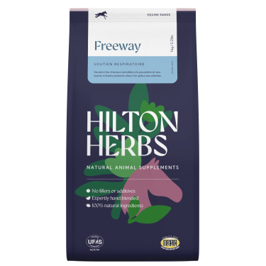 Freeway Hilton Herbs Freeway Hilton Herbs
