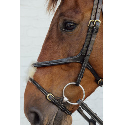 Bridão Narigueira Cruzada Trançada D Collection Dy'on Preto