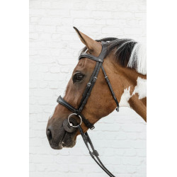 Muserola Anatômica Sem Barbela New English Collection Dy'on Preto