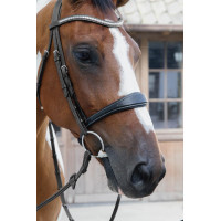 Muserola Anatômica sem Barbela Coleção US Jumping Dy'on Preto Muserola Anatômica sem Barbela Coleção US Jumping Dy'on Preto