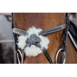 Muserola cruzada trançada D Collection Dy'on Preto