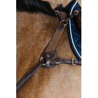 Protetor de peitoral de 5 pontos elástico Dy'on Castanho Protetor de peitoral de 5 pontos elástico Dy'on Castanho