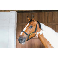 Caveção de couro Wellington Kentucky Preto