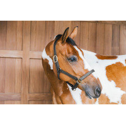 Caveção de couro Wellington Kentucky Preto