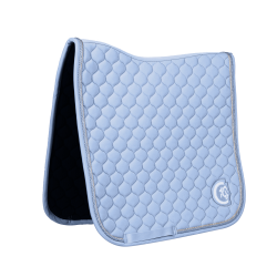 Tapete onion quilt logotipo 3D adestramento Kentucky