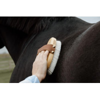 Escova macia com cerdas suaves pequena Grooming Deluxe Natural Castanho Escova macia com cerdas suaves pequena Grooming Deluxe Natural Castanho