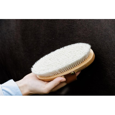 Escova macia com cerdas suaves pequena Grooming Deluxe Escova macia com cerdas suaves pequena Grooming Deluxe