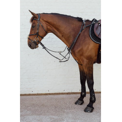 Muserola cruzada trançada New English Collection Dy'on Preto