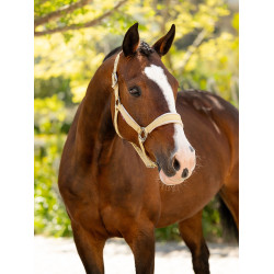 Caveção LeMieux Versailles Mimosa