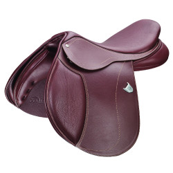 Sela Bates Hunter Jumper