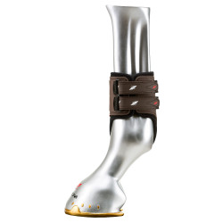 Protetor de boleto com Velcro Zandona Carbon Air Castanho