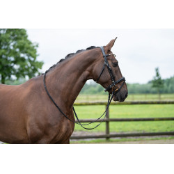 Bridon Copenhaga HKM Preto Bridon Copenhaga HKM Preto