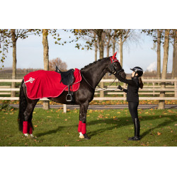 Bandagens de polo HFI Velvet Vermelho