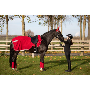 Bandagens de polo HFI Velvet Vermelho