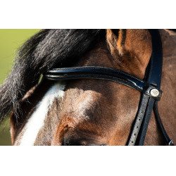 Brida convertible brida Weymouth HFI Preto / preto Brida convertible brida Weymouth HFI Preto / preto