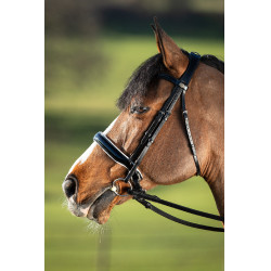 Brida convertible brida Weymouth HFI Preto / preto Brida convertible brida Weymouth HFI Preto / preto