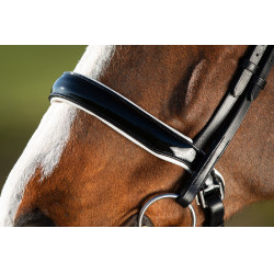Brida convertible brida Weymouth HFI Preto / preto Brida convertible brida Weymouth HFI Preto / preto