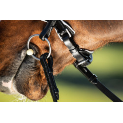 Brida convertible brida Weymouth HFI Preto / preto Brida convertible brida Weymouth HFI Preto / preto