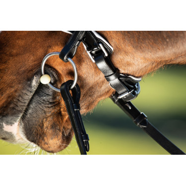 Brida convertible brida Weymouth HFI Brida convertible brida Weymouth HFI