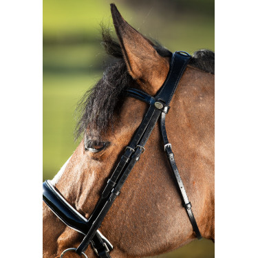 Brida convertible brida Weymouth HFI Brida convertible brida Weymouth HFI