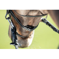 Bridon Comfort HFI Preto