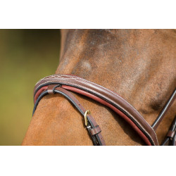 Bridon Comfort HFI Castanho