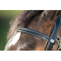 Bridão funcional HFI Preto