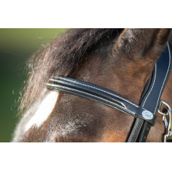 Bridão funcional HFI Preto