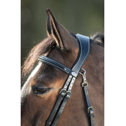 Bridão funcional HFI Preto