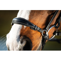 Bridon German HFI Preto