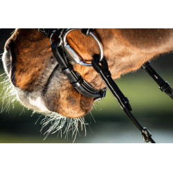 Bridon German HFI Preto