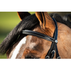 Bridon German HFI Preto