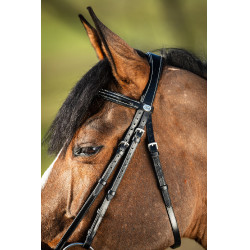 Bridon German HFI Preto