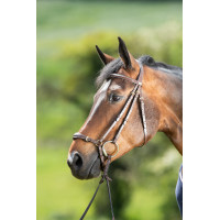 Bridon German HFI Castanho