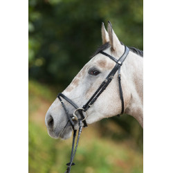 Bridon HFI Regular Preto