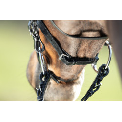 Bridon HFI Regular Preto