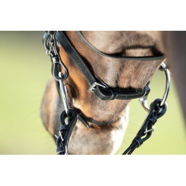 Bridon HFI Regular Preto