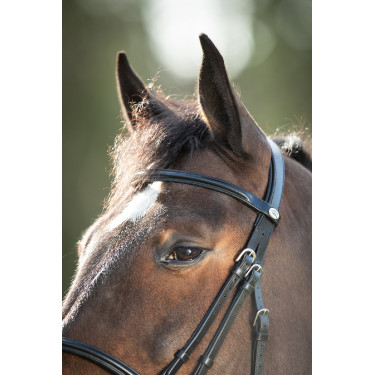 Bridon HFI Regular Preto