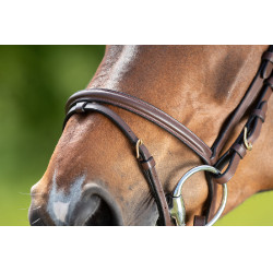 Bridon HFI Regular Castanho